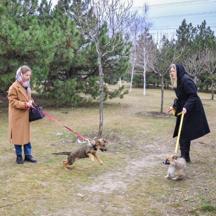 Збільшити зображення Зображення