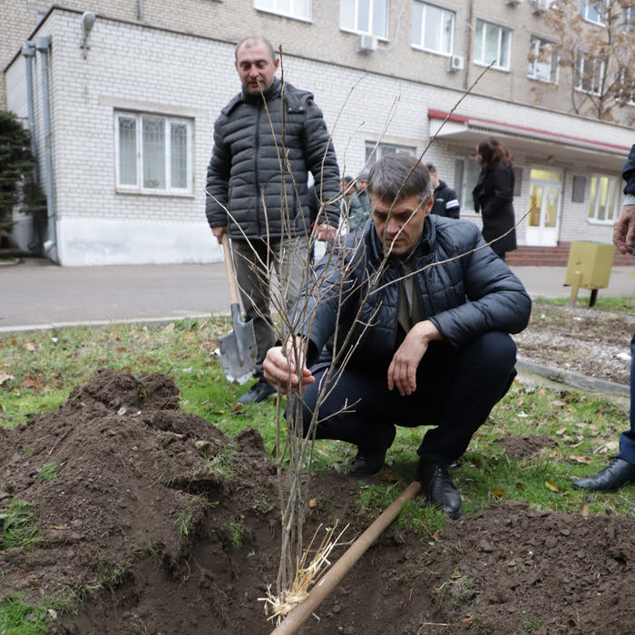 Збільшити зображення Зображення